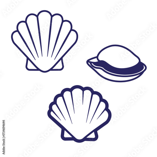 Simple vector illustration of different seashells in various open and closed positions