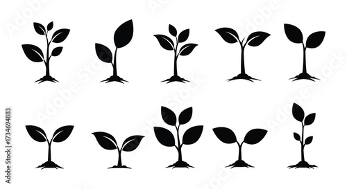 Simple black silhouettes depicting various stages of plant growth and development