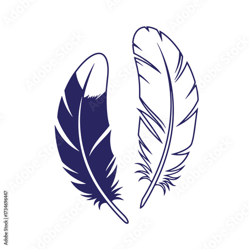 Two detailed blue feather vector illustrations isolated on white background for design