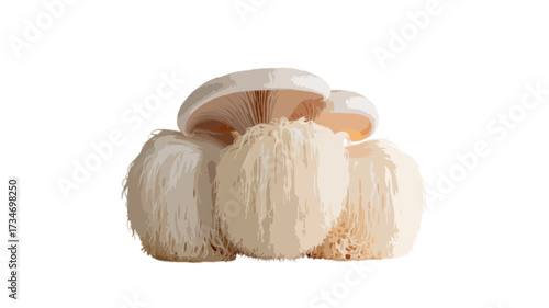 white lions mane mushroom isolated on transparent background