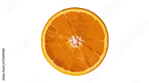 slice of orange with fresh water drops isolated on transparent background