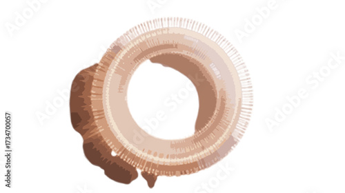 round light sparkling ring frame isolated on transparent background