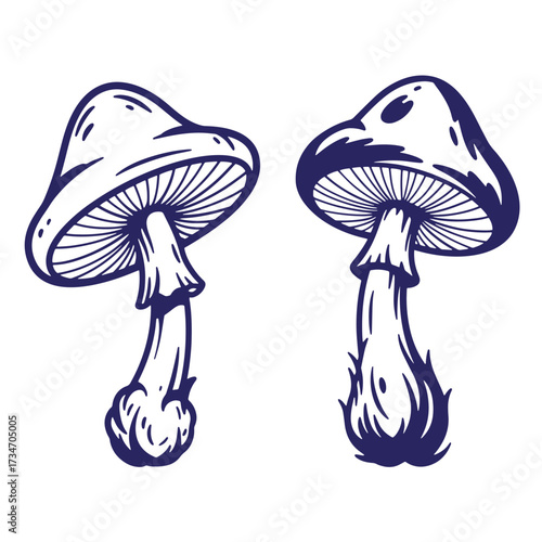 Vector illustration of two stylized dark blue mushrooms on a white background