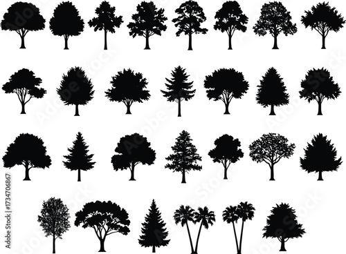 Tree silhouette vector set, black forest illustration, natural plant icon collection, tropical palm, pine, oak, landscape element, eco nature designvvv