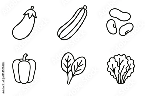 Outline icons of eggplant zucchini beans bell pepper spinach lettuce