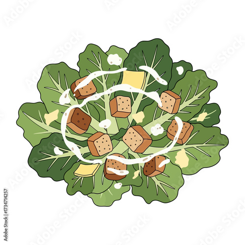 An illustration of a fresh Caesar salad with crisp lettuce, crunchy croutons, and creamy dressing.