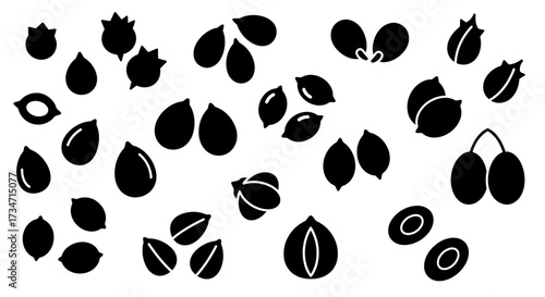 Collection of various seeds and fruits isolated on a clean white surface for design and education Flat design vector illustration white background.