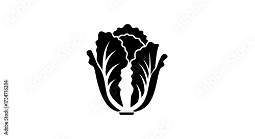 Stylized cabbage silhouette icon for food health and agriculture projects Flat design vector illustration white background.