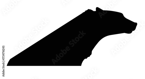 Pennsylvania outline silhouette state map shape graphic Flat design vector illustration white background.