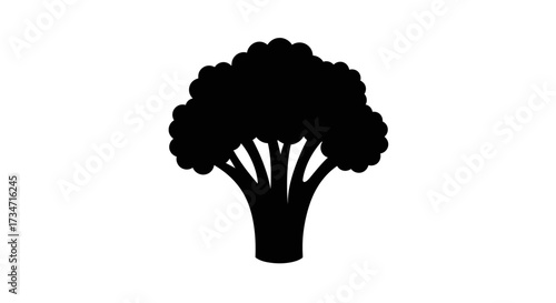 Silhouette of a broccoli florets and stem simple graphic food ingredient healthy eating organic nutrition Flat design vector illustration white background.