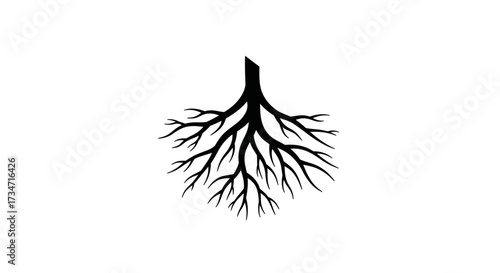 Detailed black tree roots branching outward against white space symbolizing growth and connection Flat design vector illustration white background.