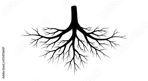 Detailed black tree root system artistic representation growth nature symbolism abstract Flat design vector illustration white background.