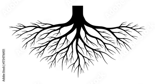 Detailed black and white tree root system graphic symbolizing growth and stability Flat design vector illustration white background.