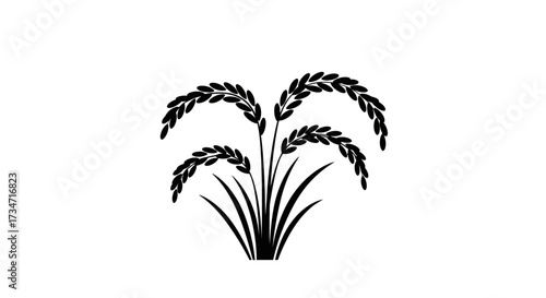 Black and white silhouette of a rice plant with grain ears for agricultural and food industry designs Flat design vector illustration white background.