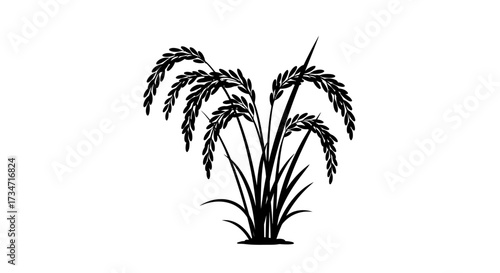 Silhouette of rice plant with grain stalks and leaves artistic rendering Flat design vector illustration white background.