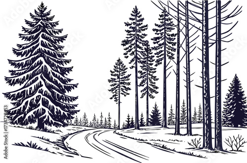 Monochrome Forest Illustration with Evergreen Trees and a Winding Path