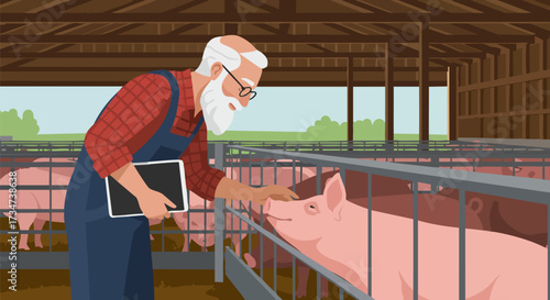 Farmer inspecting pigs in a barn with a tablet for animal health and farm management
