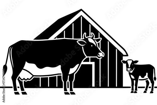 A domestic cow with calf in a barn