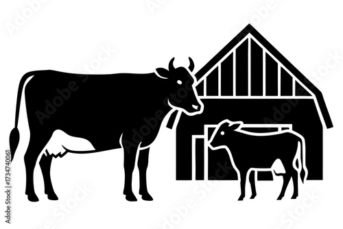 A domestic cow with calf in a barn