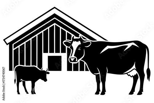 A domestic cow with calf in a barn