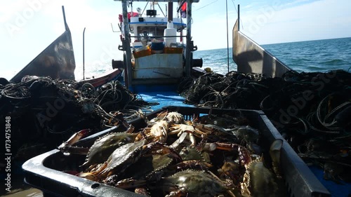 Korean Blue Crab Fishing Net West Sea (한국 서해 꽃게잡이 그물)-005