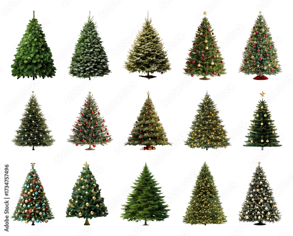 Fototapeta premium PNG Festive decorated Christmas trees collection, element set on transparent background
