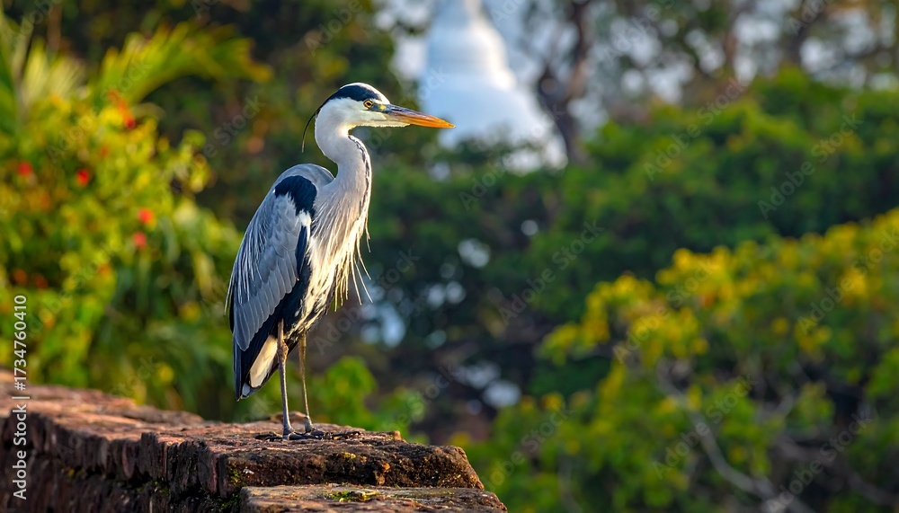 Fototapeta premium A majestic grey heron stands sentinel, its elegant form highlighted against a backdrop of vibrant foliage in a tranquil natural setting.