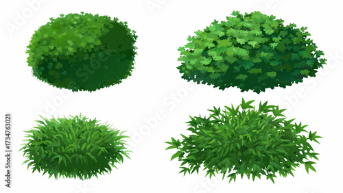 Cartoon shrub bush set. Garden green decoration bushes, illustrated hedge shrubs plants isolated on white background