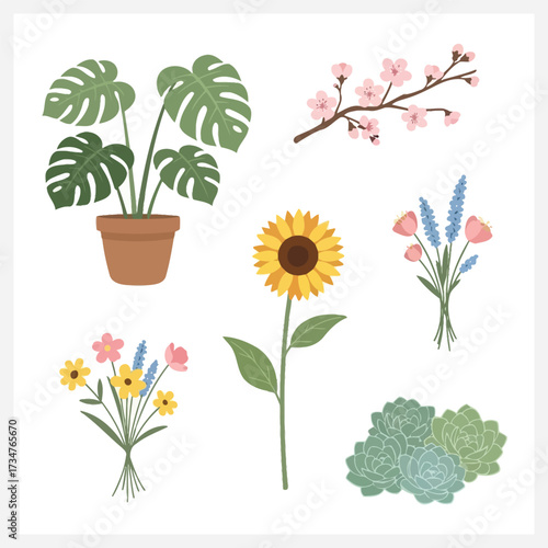 Collection of Various Beautiful Plants and Flowers Including a Monstera, Sunflower, and Cherry Blossoms