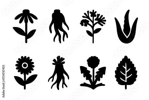 Medicinal Herb Icons. Medicinal Herbs. Filled icon set of Medicinal Herbs: echinacea flower, ginseng root,