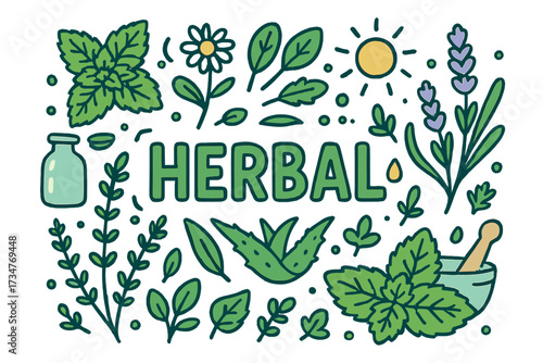 Herbal Doodle Illustration. Herbal. Hand-drawn doodle illustration of Herbal. mint leaves, rosemary, chamomile