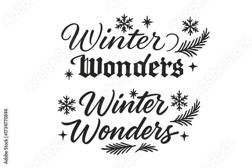 Winter Wonders Calligraphy. Winter Wonders. Create a calligraphy lettering illustration of the phrase: Winter