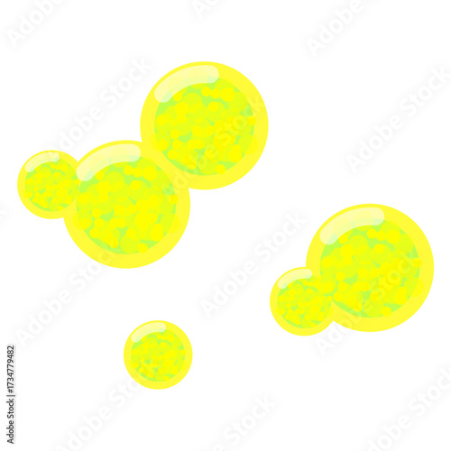 Illustration of Thalassiosira