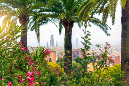 Photography Palm trees and pink flowers in the foreground with the cityscape of Barcelona and the Sagrada Família under construction in the background