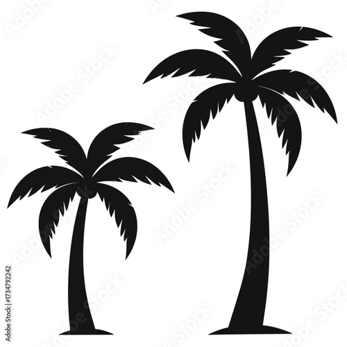 Silhouette of two tropical palm trees with lush fronds against a white background
