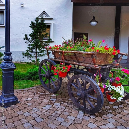 cart with flowers in the street