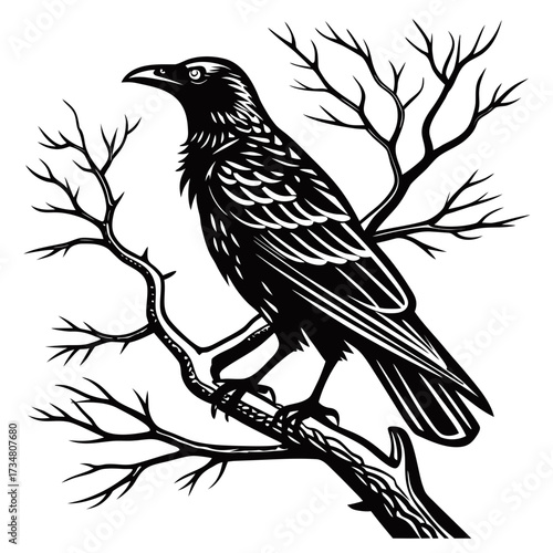 Raven Sitting on a Leafless Tree Branch Illustration