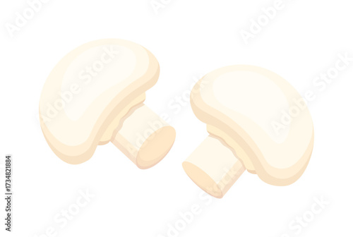 Whole champignons in cartoon style. Vector illustration of fresh edible champignon mushrooms isolated on white background. Useful, nutritious mushrooms for cooking.