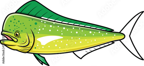Colorful mahi-mahi fish vector for marine education, fishing guides, ocean art, tropical species ID, and aquatic-themed creative content