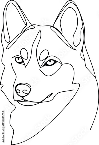 Single line drawing a husky dog face with alert eyes Continous line drawing animal