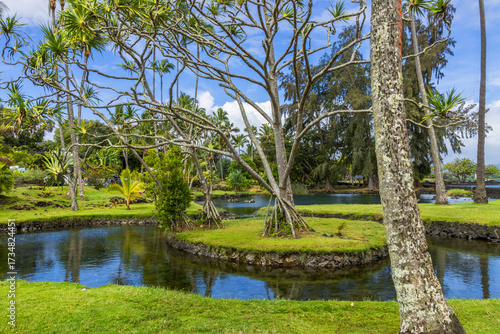 Richardson Ocean Park- Hilo 001