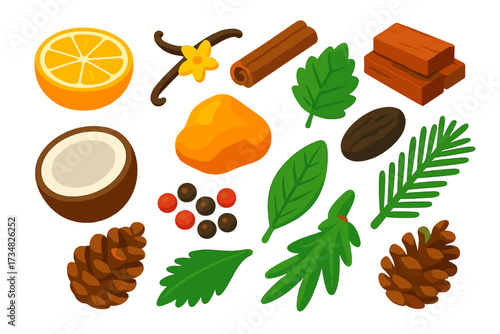 Perfume Ingredient Icons. Isometric vector illustration set Perfume Ingredients: citrus slice, vanilla pod, cinnamon stick,