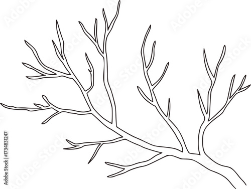 Bare branch structure with thin limbs twig outline