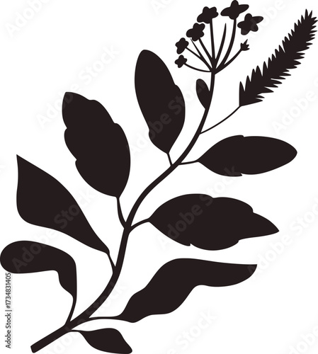 Dark botanical silhouette with leaves and flowers plant