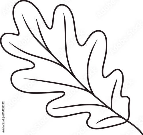 Single oak leaf outline nature autumn