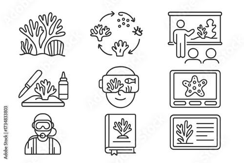 Coral Reef Education Icons. Line style icons of coral reef education: reef anatomy diagram, coral life cycle chart, underwater