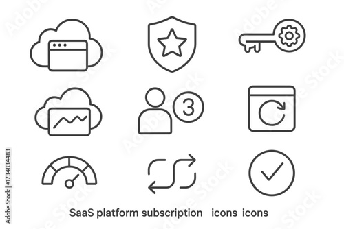 SaaS Platform Icons. Line style icons of SaaS platform subscriptions: cloud software icon, enterprise plan badge, API access key,