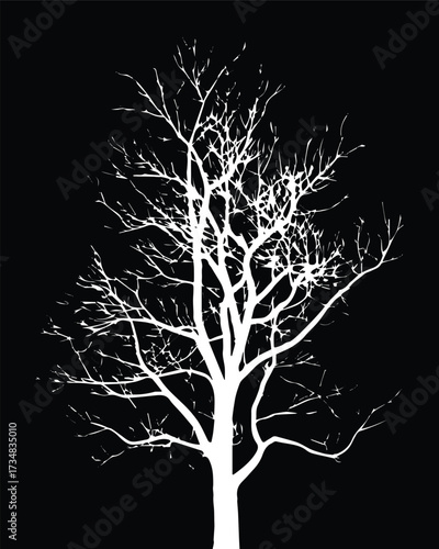 minimalist winter tree vector silhouette with intricate branches suitable for posters textiles and botanical design
