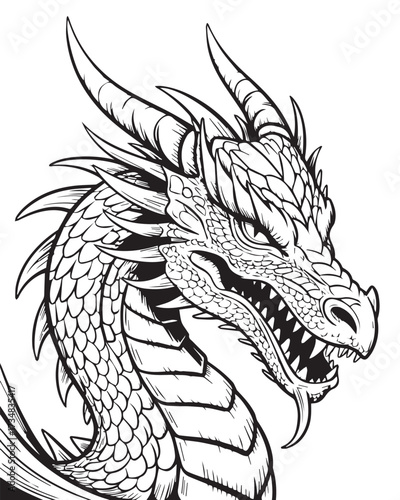 medieval dragon head line art vector detailed scales horns teeth monochrome printable coloring page