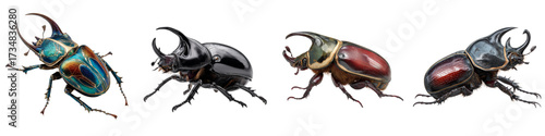 Stunning collection of rhinoceros beetles showcasing nature's intricate design and colors, perfect for educational resources and nature-themed designs